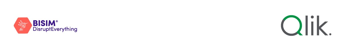 Banner Mail_Qlik-1 Banner Mail_Qlik-1